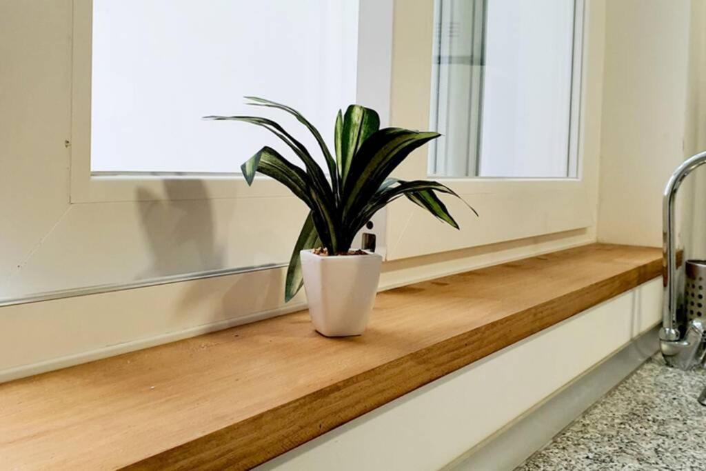 Apartamento Interior En El Absoluto Centro Ba Algeciras Zewnętrze zdjęcie